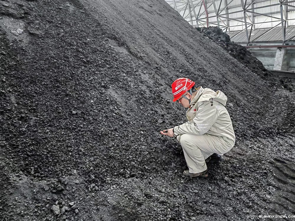1708506562936037633.jpg 3-大唐东营发电公司职工查看煤炭煤质情况a.jpg