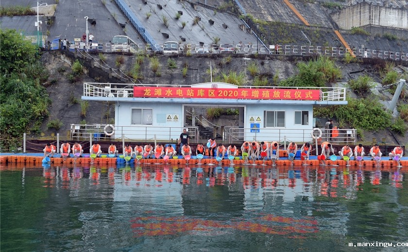 1627290135302016295.jpg 8.jpg