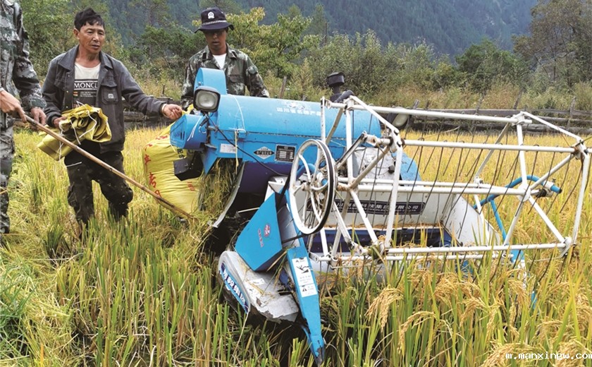 1627293882125008369.jpg 5.jpg