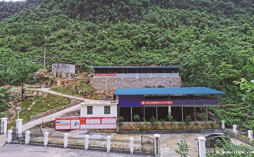 1627294173203084679.jpg 1.jpg